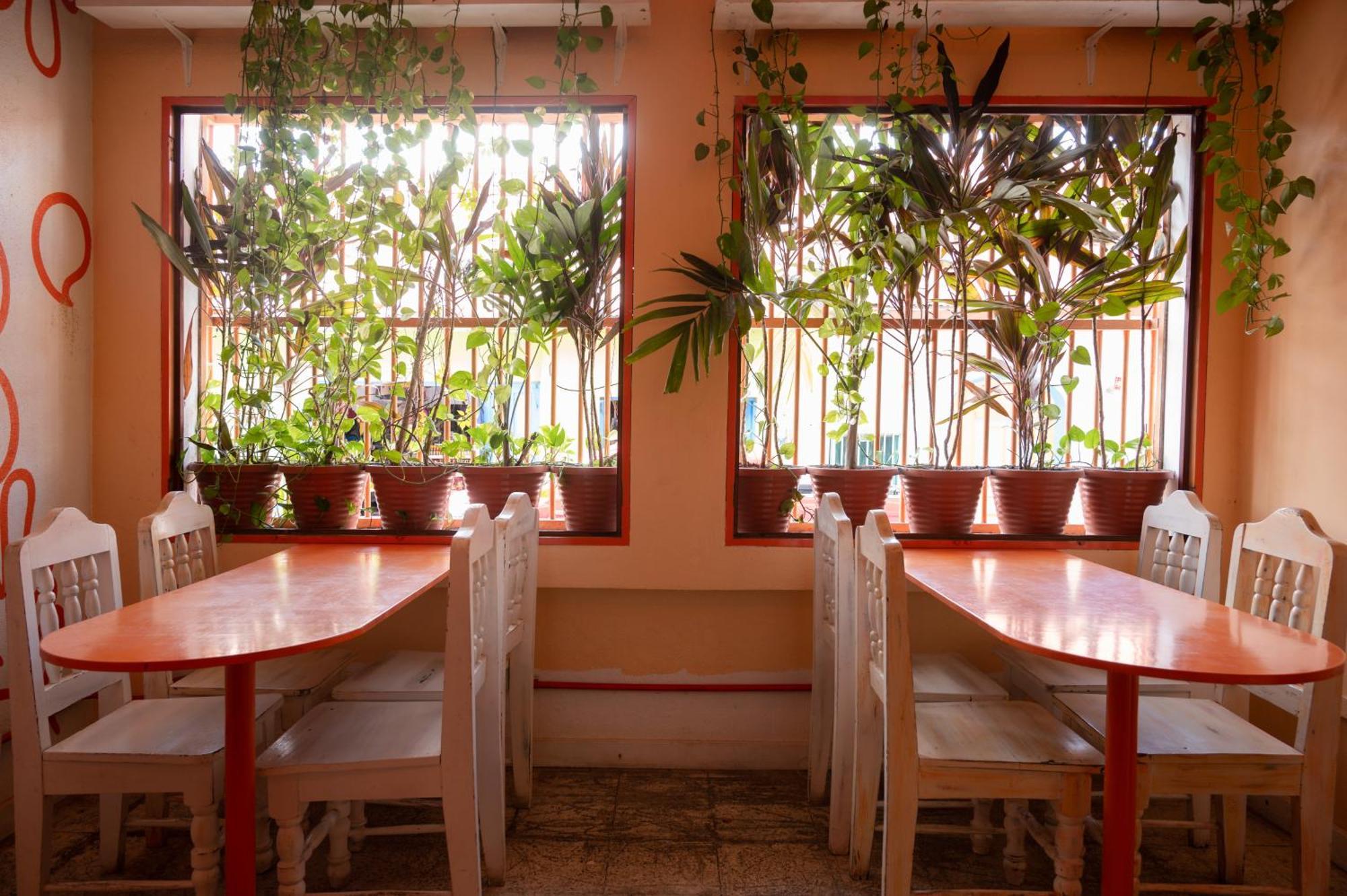 Macarena Hostel フローレス エクステリア 写真