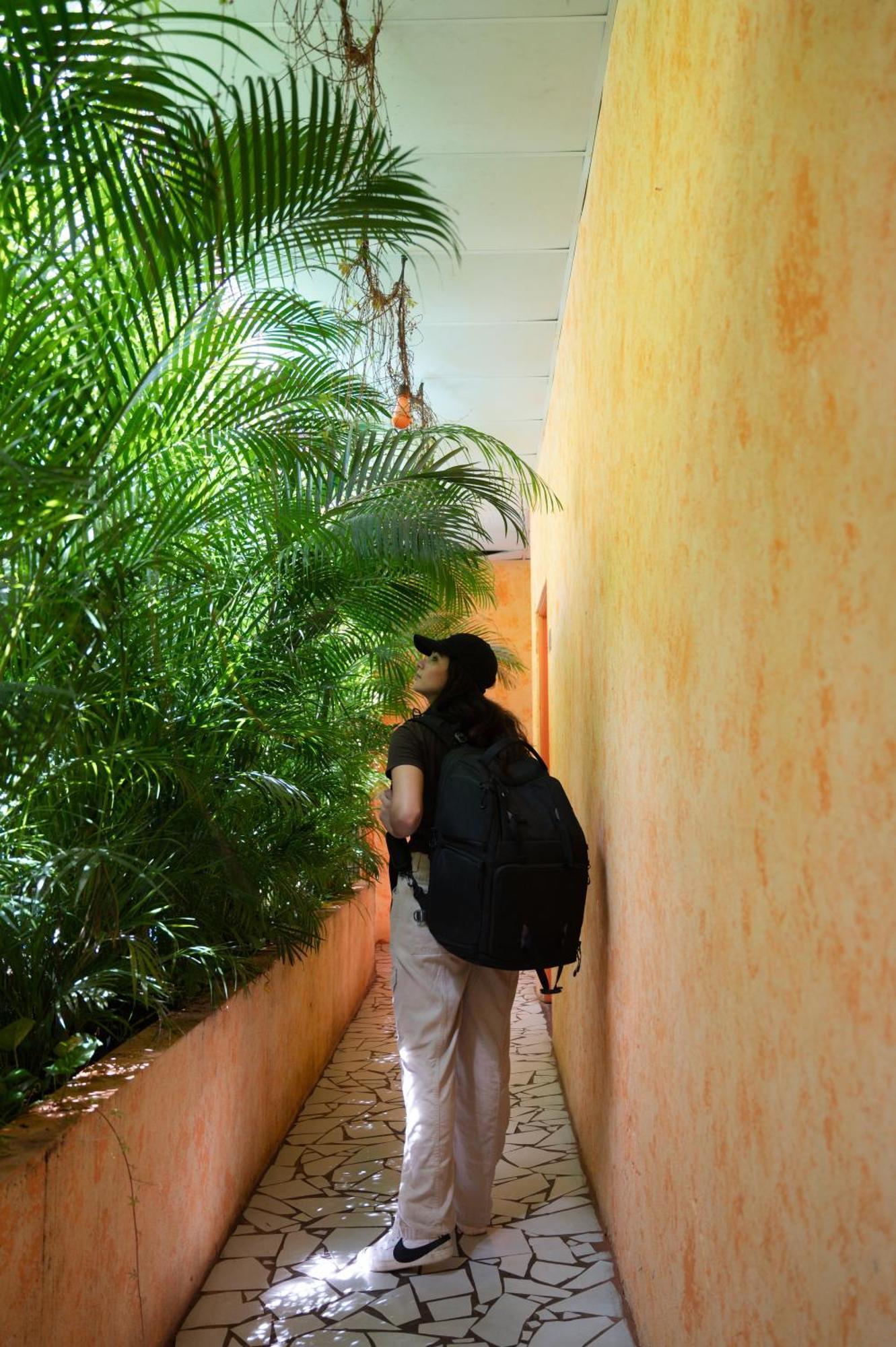Macarena Hostel フローレス エクステリア 写真